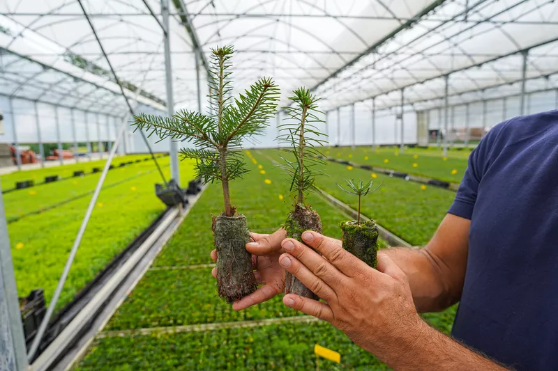 Sachets de semences bio de la gamme 2026 de Racines et Pousses